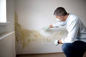 Mold Documentation for Insurance Claims in Porter Heights, TX